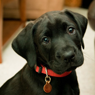 Design sem nome (21)